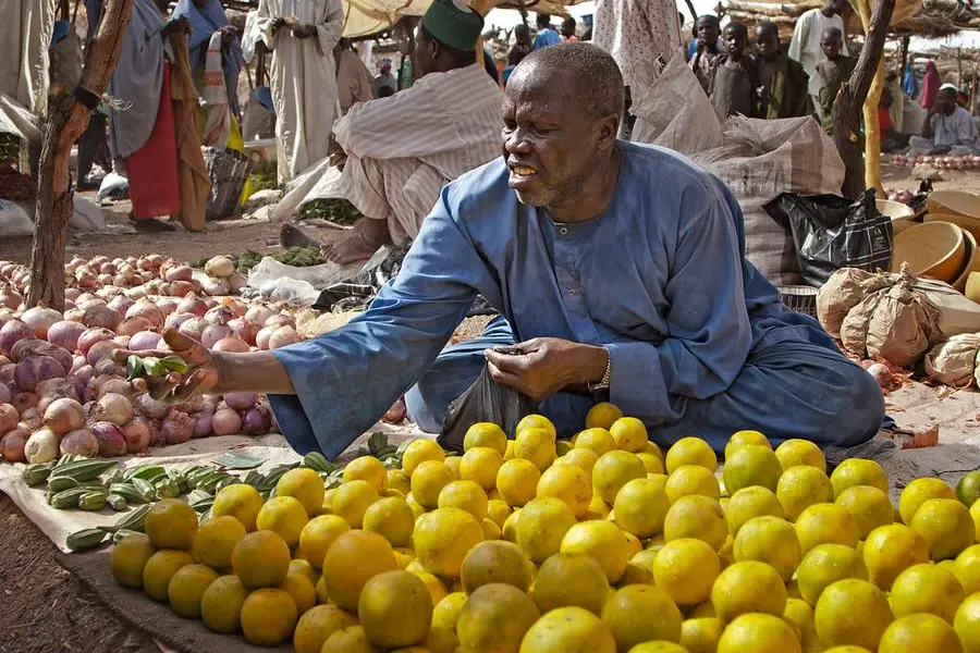 Food deficit major challenge for Nigeria, says FAO