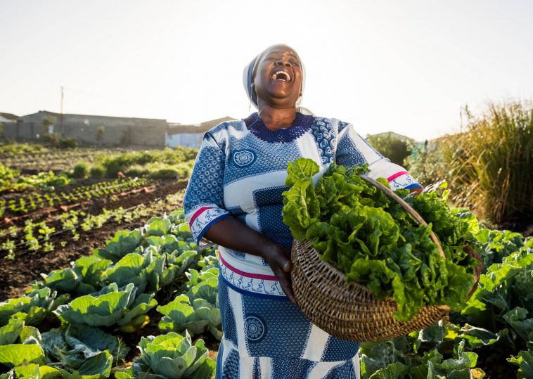 Smallholder farmers build capacity with the latest technology