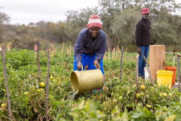 Managing Water Sustainably Is Key To The Future Of Food And Agriculture