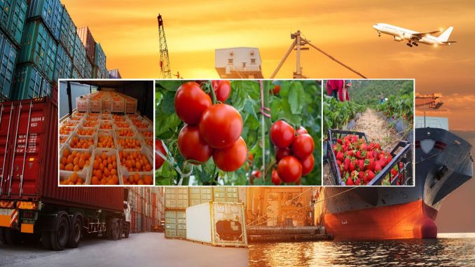 SA’s agricultural export earnings rack up $12.8bn record in 2022