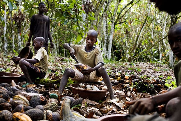 Reframing the Debate about Child Labour on Africa’s Farms