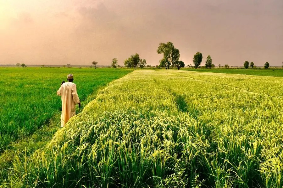 Without mechanisation, food security in Africa remains a mirage —AATF boss