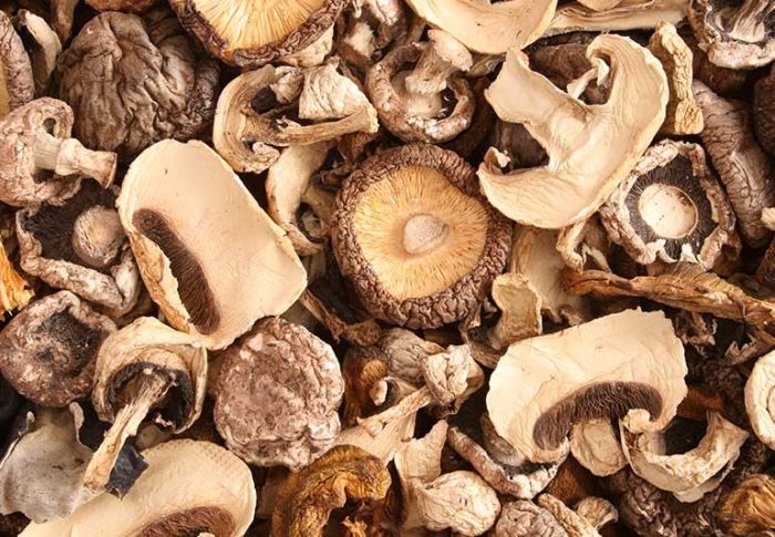 Don tasks farmers on mushroom cultivation to boost agro-revenue