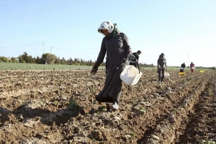 New support mechanism for agriculture sector launched in Tunisia