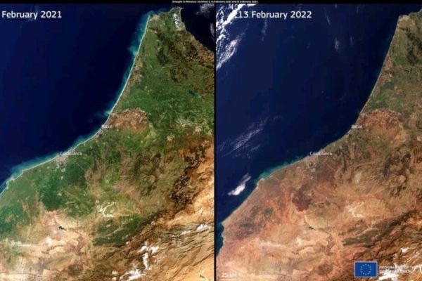 “Climate change is the new reality for Moroccan agriculture”