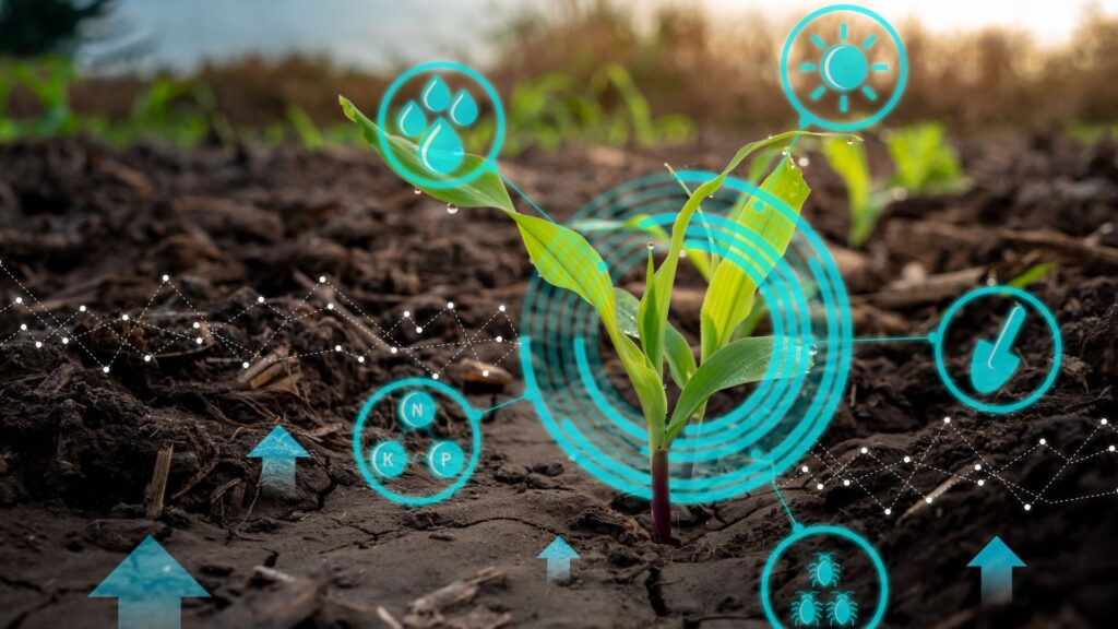 Agriculture’s digital harvest: IoT cultivates profits