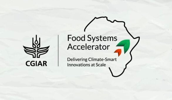 African Countries Need Intensive Agriculture To Tackle Hunger –CGIAR