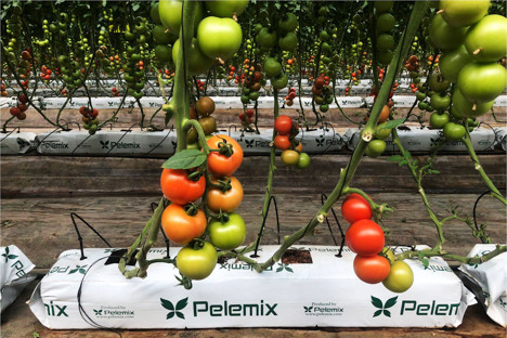 Pelemix signs exclusive distribution agreement with EarthSense Morocco