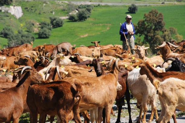 Herders: We have taken proactive measures to secure our farmers – Enugu Govt