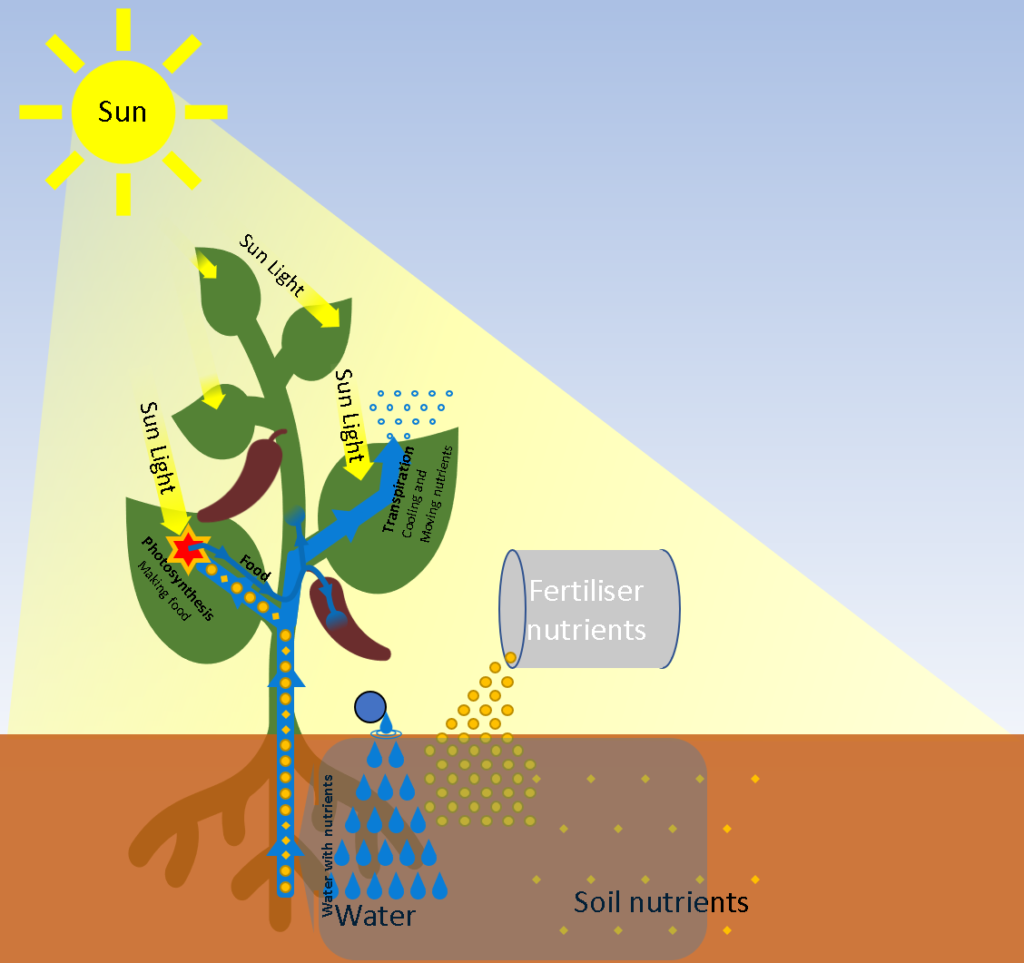 Why is water important to farming?