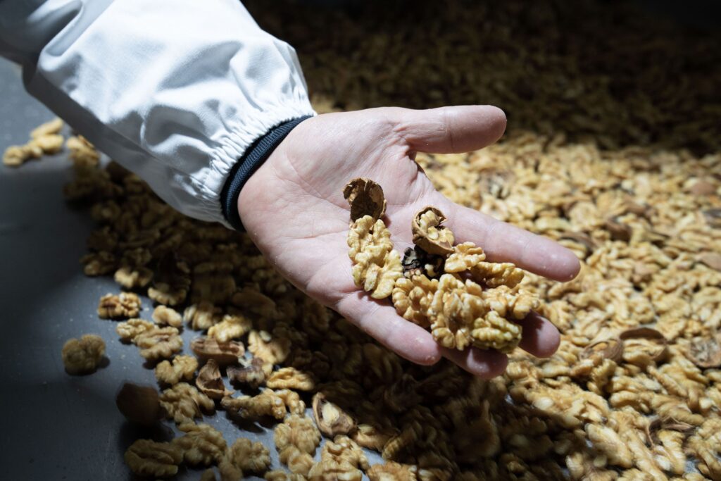 CHILEAN WALNUT PRODUCER QUELEN FRUIT EASILY EXCEEDS EUROPEAN CATEGORY 1 QUALITY STANDARDS WITH TOMRA FOOD