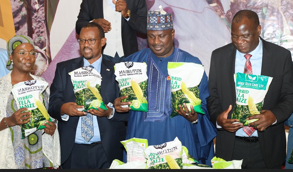 Nigeria launches Tela maize variety