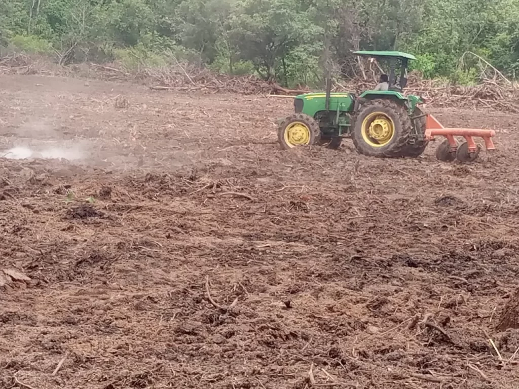 Agriculture: Land preparation begins at Enugu Produce City