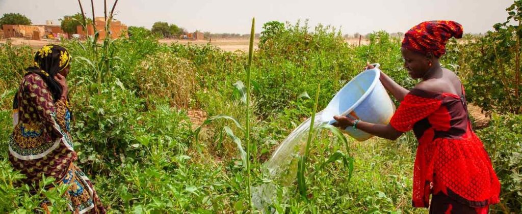 Mauritania: AFDB grants $17 million to strengthen resilience of female market gardeners, add value to agricultural production and increase incomes of rural women