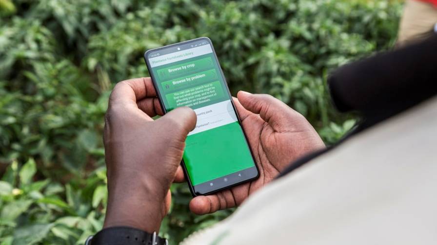 fertilizerHow Digital Technology Is Helping Africa’s Smallholder Farmers Access Best Practices for Fertilizer