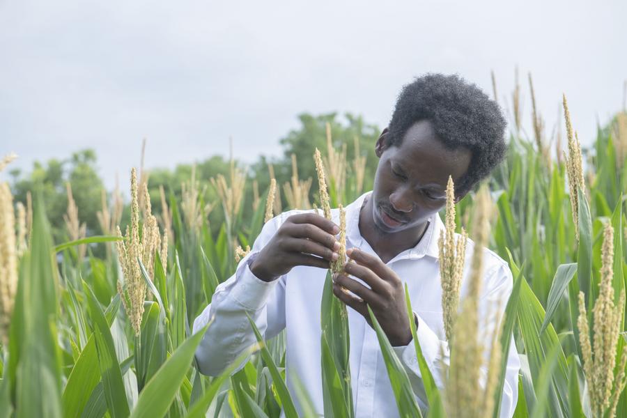 Rwandan student’s ambition to advance African agriculture inspired by “father of hybrid rice