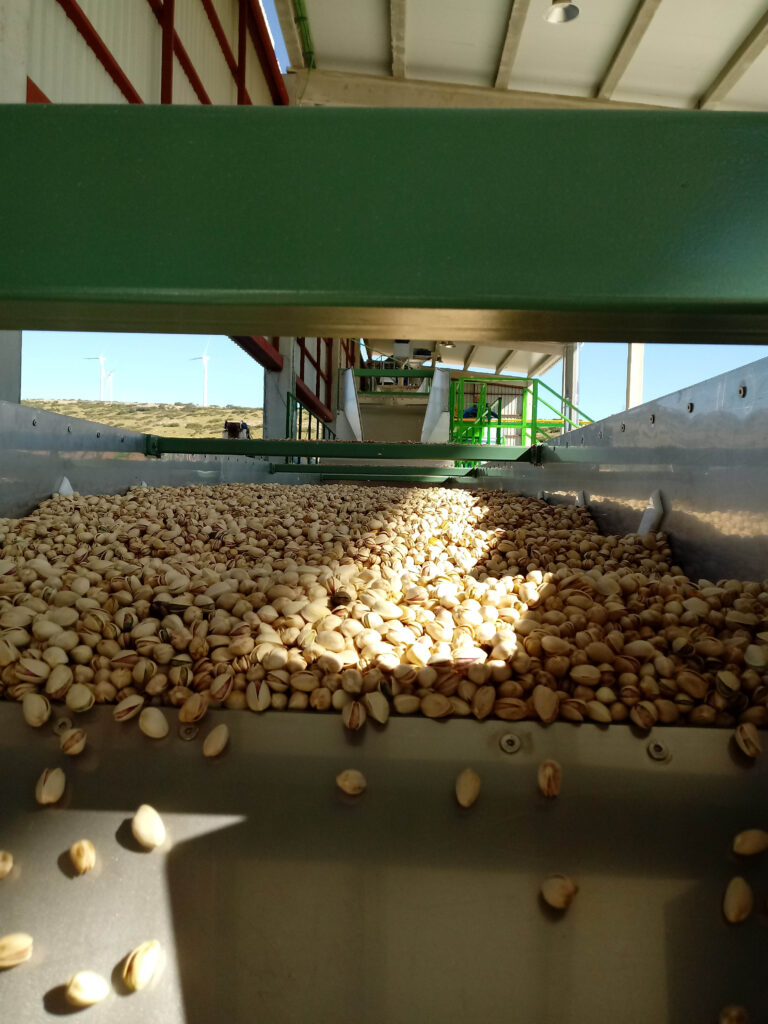 TOMRA 5C GRADING PLATFORM DELIVERS 5% PRODUCTIVITY INCREASE AT SAT DEL CAMPO AND IMPROVES THE QUALITY OF ITS ORGANIC PISTACHIOS FOR THE DEMANDING EUROPEAN MARKET