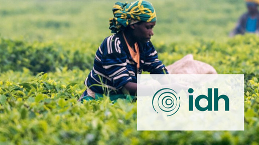 IDH Farmfit Fund and Oikocredit announce strategic partnership to reduce financing gap for smallholders