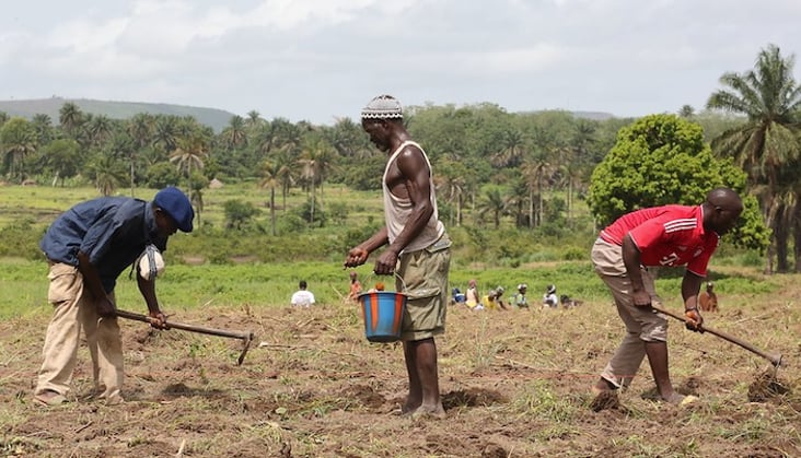 Nigeria Advocates Climate-Smart Agriculture for Resilient Food Security, Integrates Insurance in National Scheme