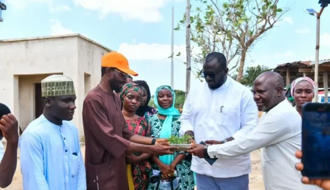 Niger govt empowers 70 youths on soilless farming techniques