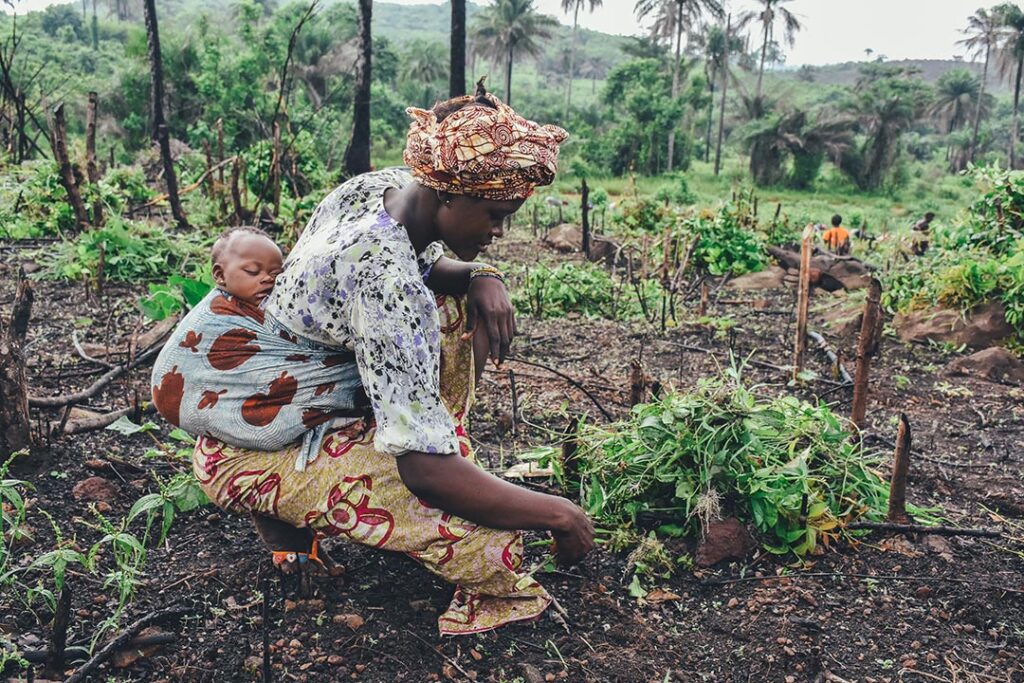 Can Smallholders Be the Answer to Landscape Restoration in Africa?