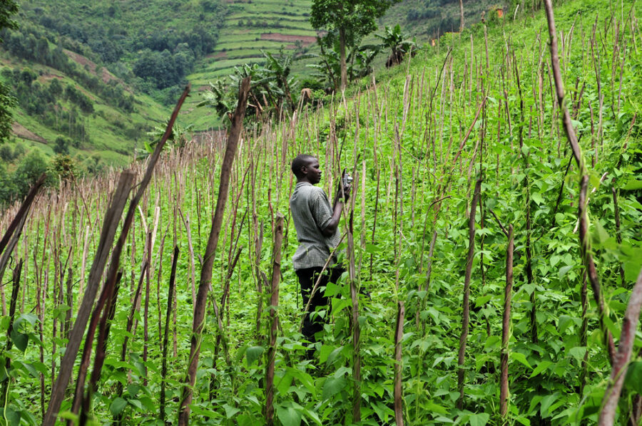 Corporate or community-led? Africa’s agricultural future at a crossroads