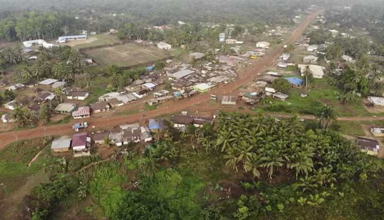 Liberia Moves to address agricultural data needs