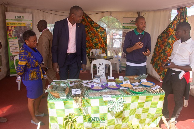 Ivory Coast-AIP/ The CNRA promotes sesame cultivation at the 11th edition of JAAD in Kong