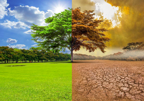 Impact of climate change on Nigeria