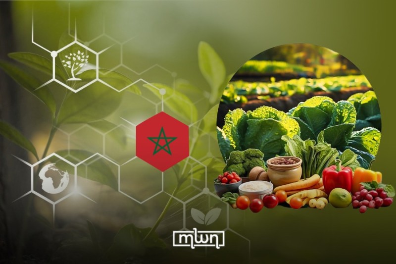 Morocco’s Agro-Diplomacy