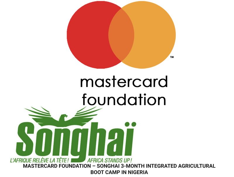 MasterCard Songhai Scholarships in Agriculture 2025/2026 for Nigerian Students