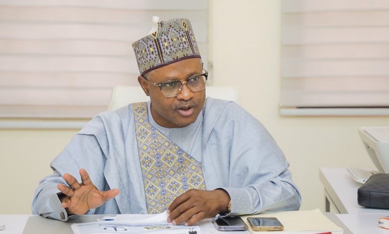 Kaduna to become grape-farming hub in Nigeria – Gov