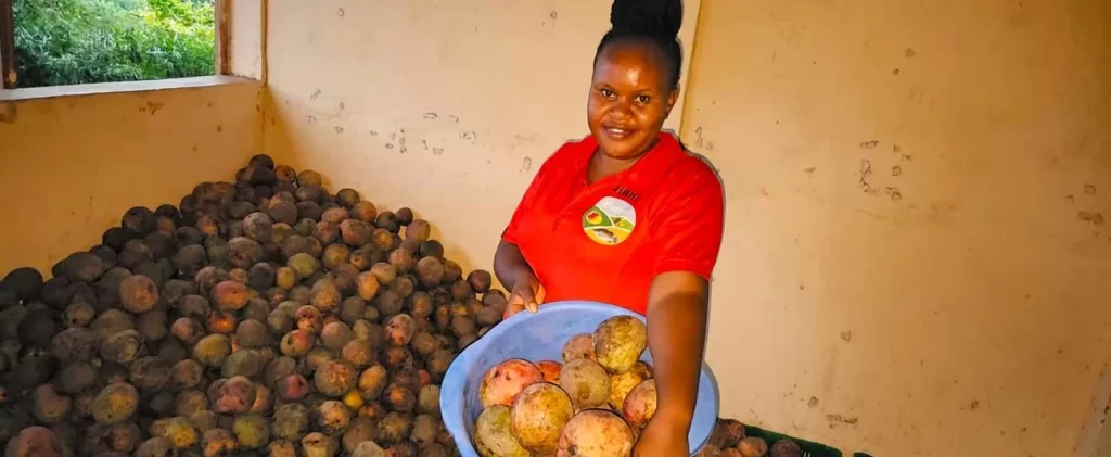 African youth transform agriculture with capital that works